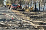 Felled trees along a road with emergency crews after a a bushfire went through