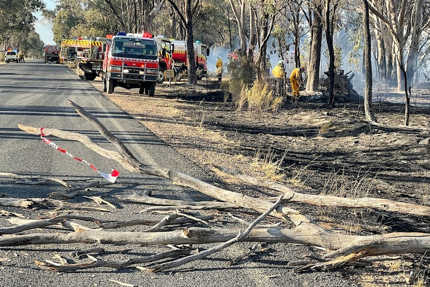 Felled trees along a road with emergency crews after a a bushfire went through