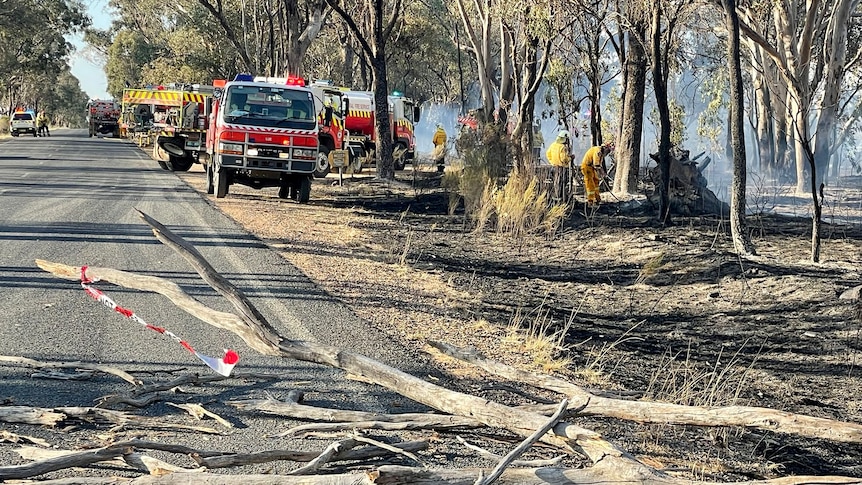 Felled trees along a road with emergency crews after a a bushfire went through