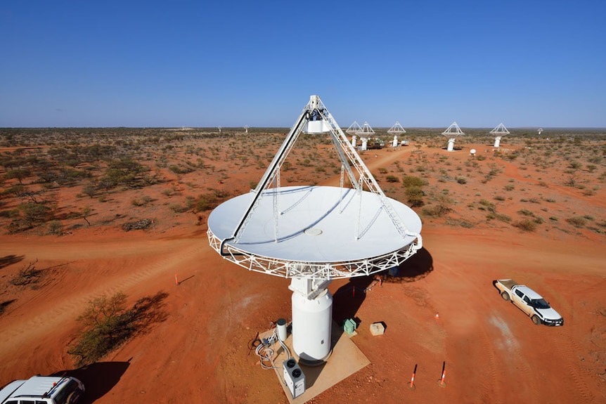 Antennas of CSIRO's ASKAP telescope at the Murchison Radio-astronomy Observatory.