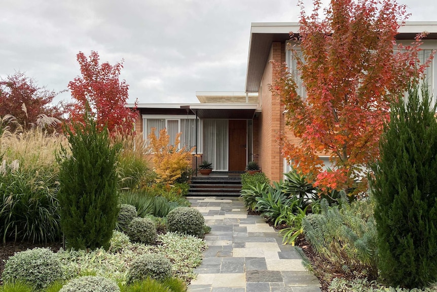 A grey paved pathway leads to the front door of a brick mid-century home, surrounded by plants.