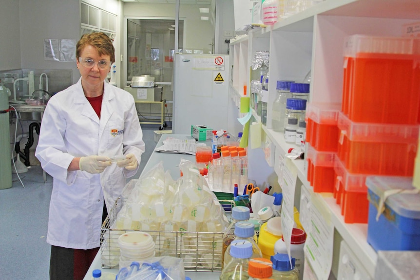 Woman in a lab holds onto a plate with a piece of mould inside of it.