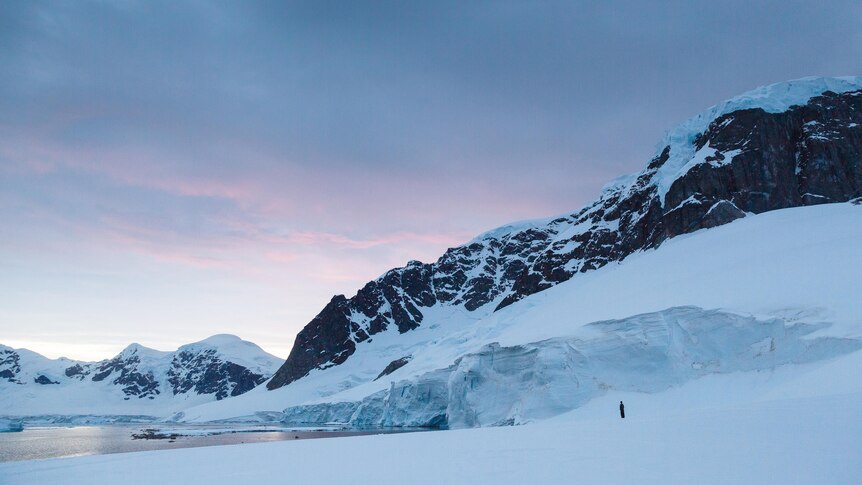 snowcapped mountains in Antartica with sky in background. Small figure stands off to the side