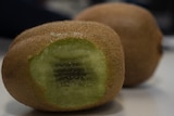 A kiwi fruit with a bite taken out of it.