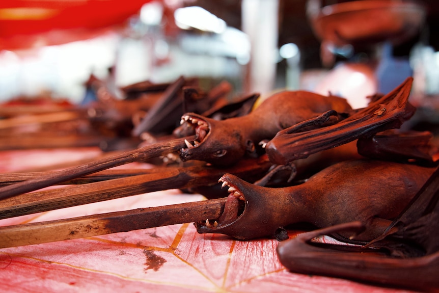 A row of bats with skewers through their mouths and bodies sits on a table in a market