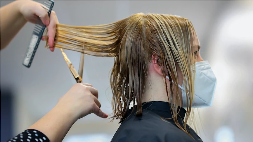 A hairdresser is cutting a woman's hair.