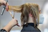 A hairdresser is cutting a woman's hair.