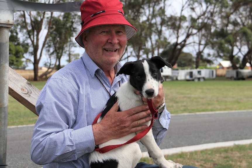 A man in a red hat holding a black and white border collie puppy, smiling