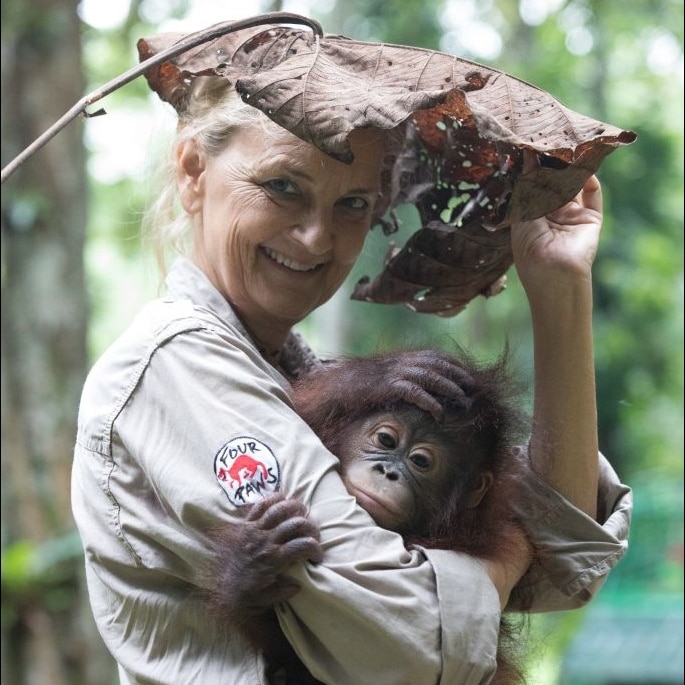 Primatologist Dr Signe Preuschoft, who runs the school, holding a baby Orangutan.