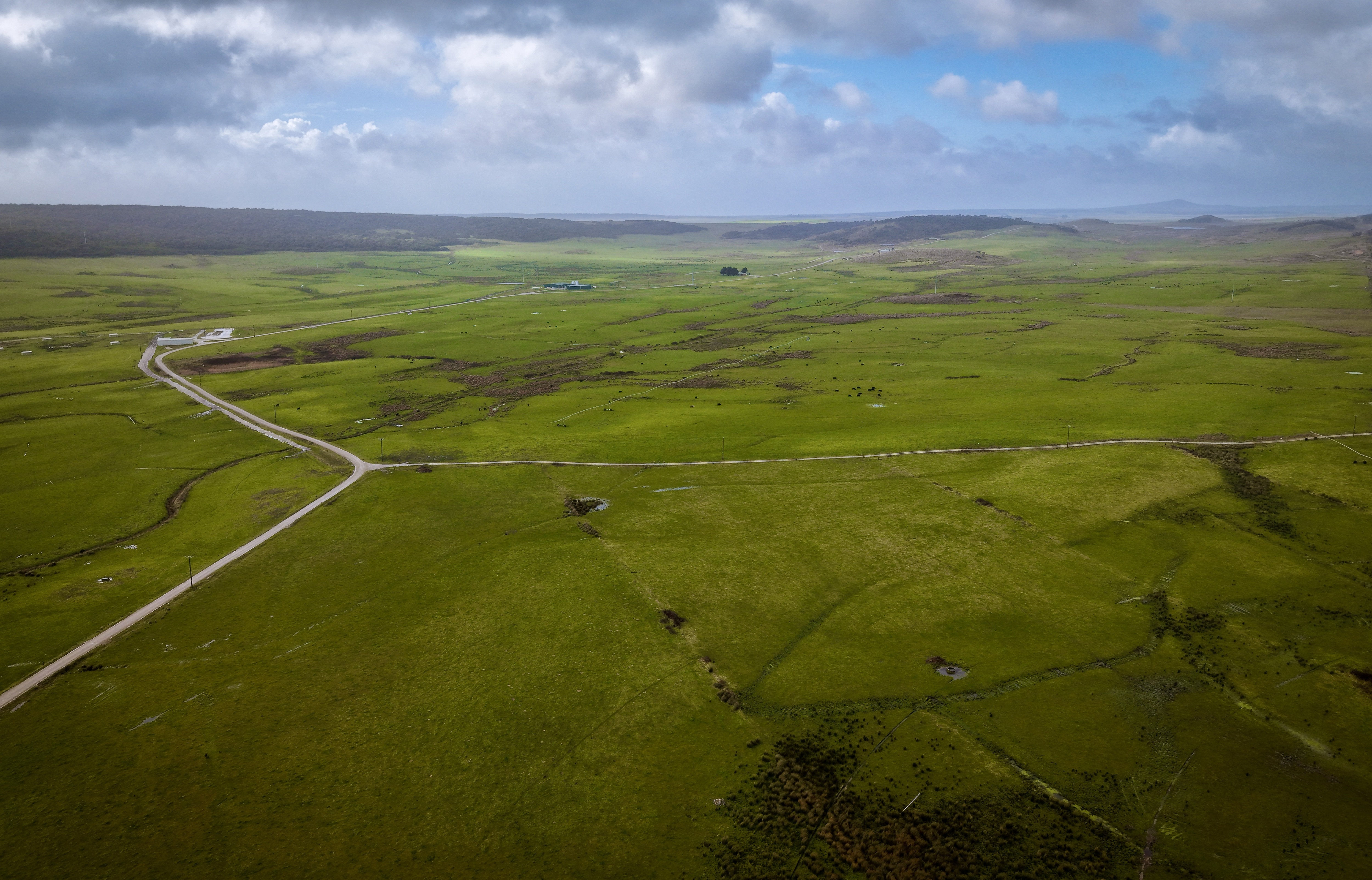 New owner of Rushy Lagoon outlines plans for pine, cattle and tourism