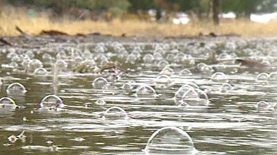 Farmers cautiously optimistic about rain across New South Wales.