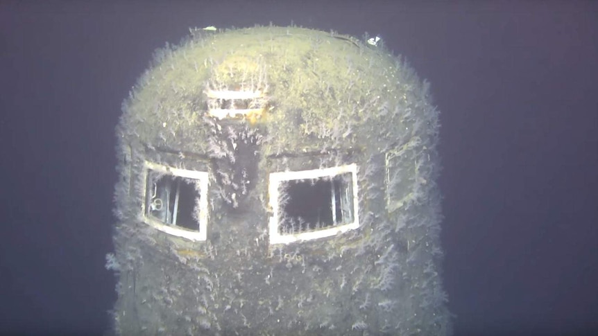 The aged top of a submarine, with tiny coral-like growths growing from the yellowed surface.