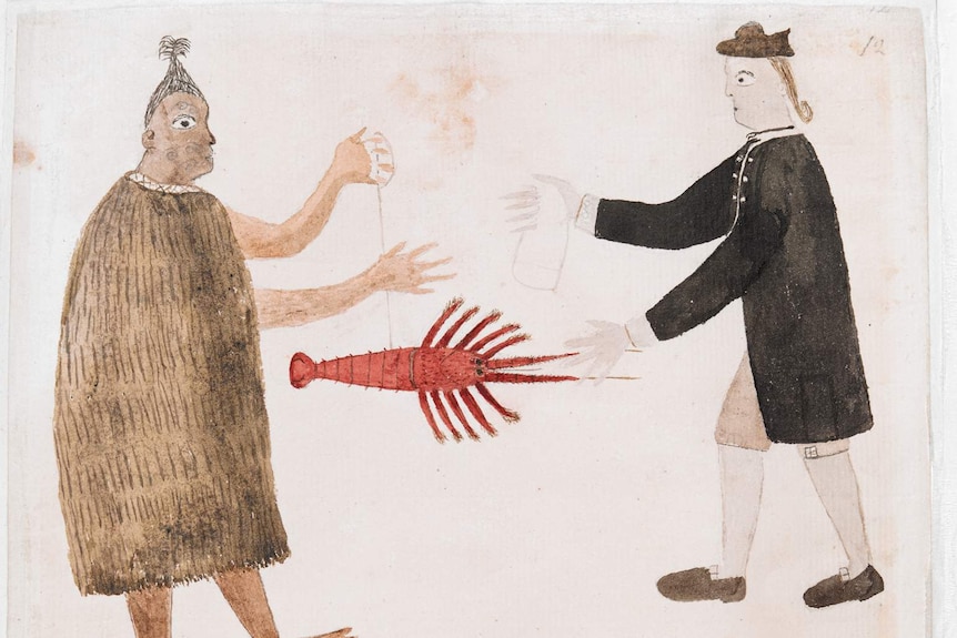 A drawing of a Maori person and Joseph Banks exchanging items. The Maori person is handing Banks what looks like a lobster.