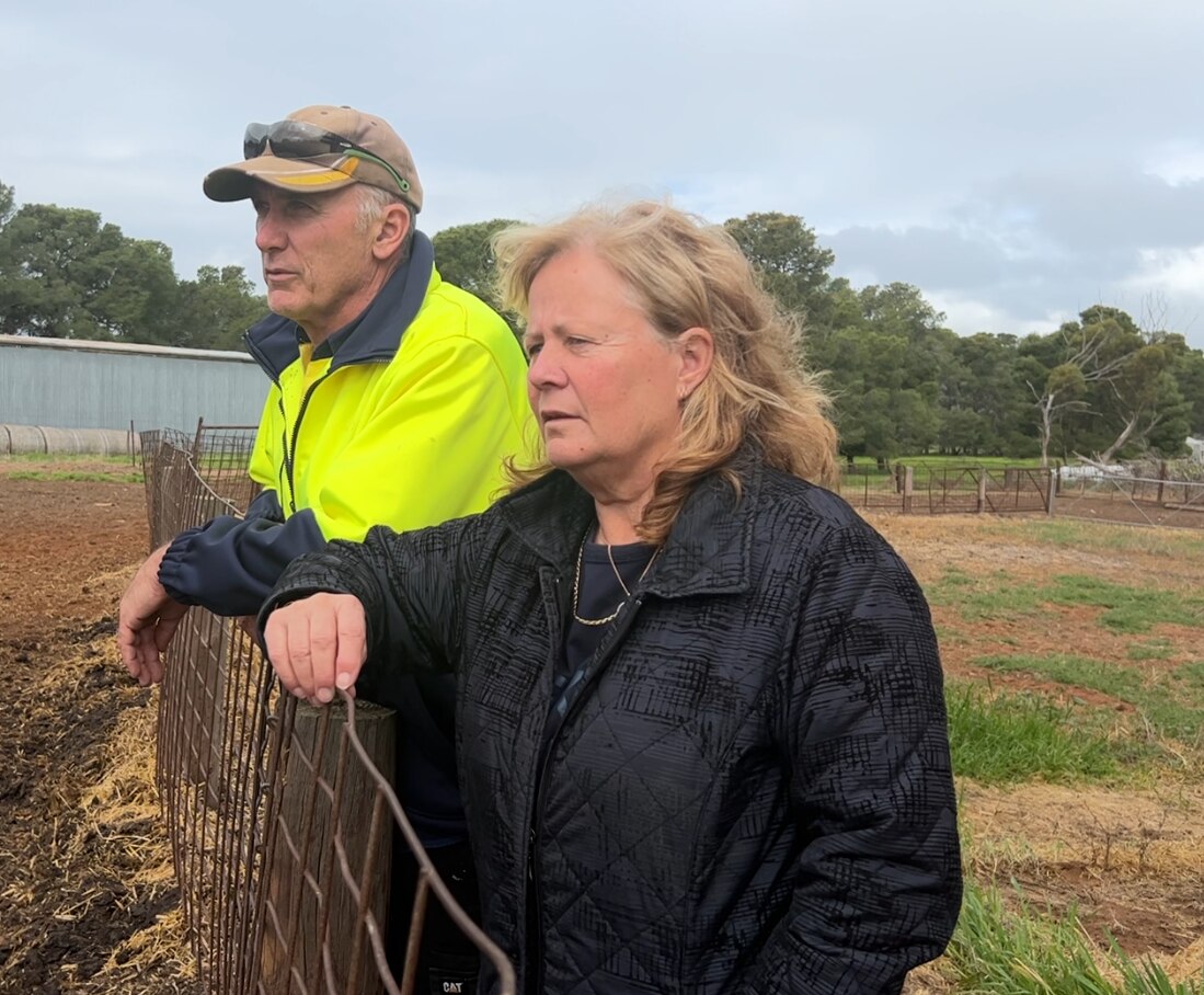 a man in hi vis coat and a woman in black coat , leaning on fence looking across the farm 