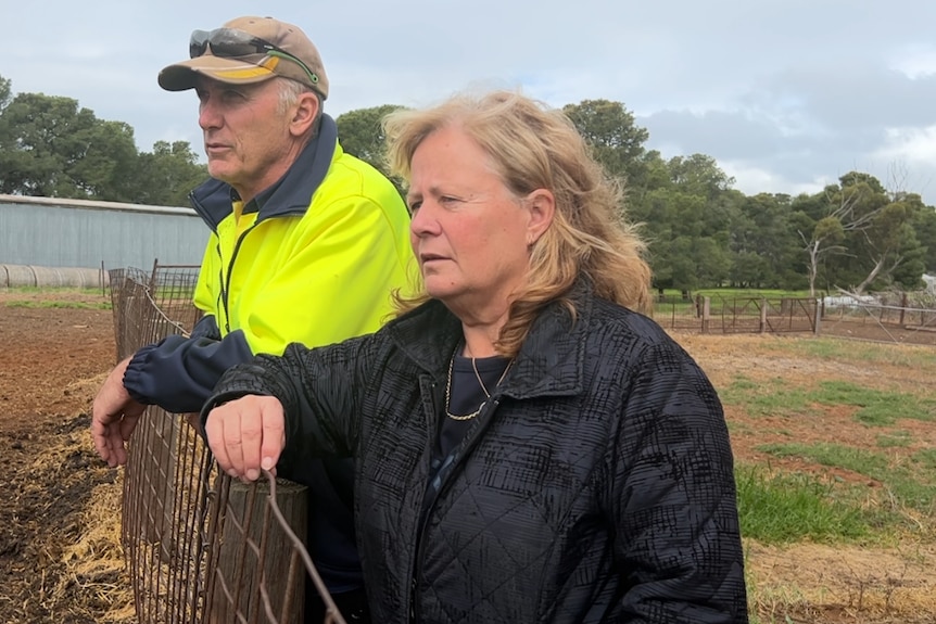 a man in hi vis coat and a woman in black coat , leaning on fence looking across the farm 