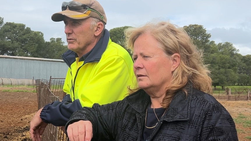 a man in hi vis coat and a woman in black coat , leaning on fence looking across the farm 