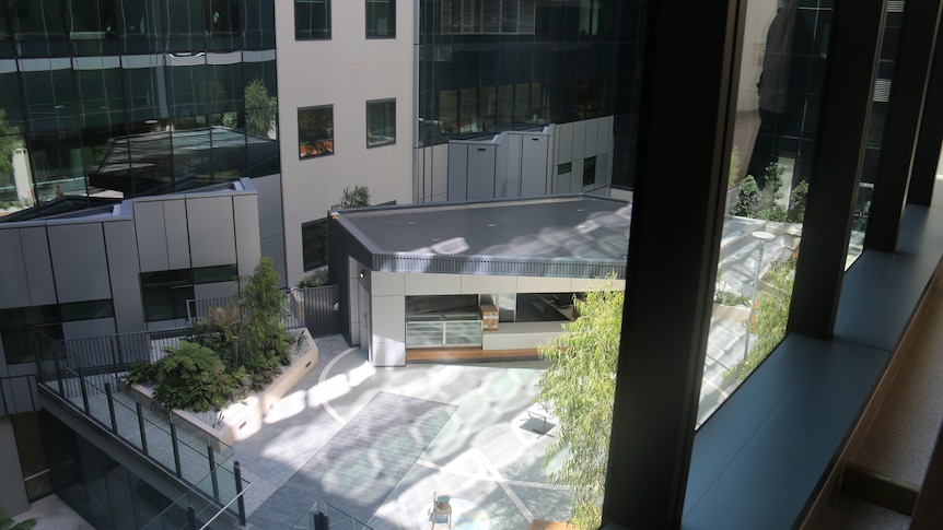 Looking down into one of the courtyards at the new Royal Adelaide Hospital.