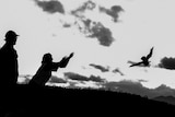 A black and white photo shows a person releasing a bird into the sky in silhouette.
