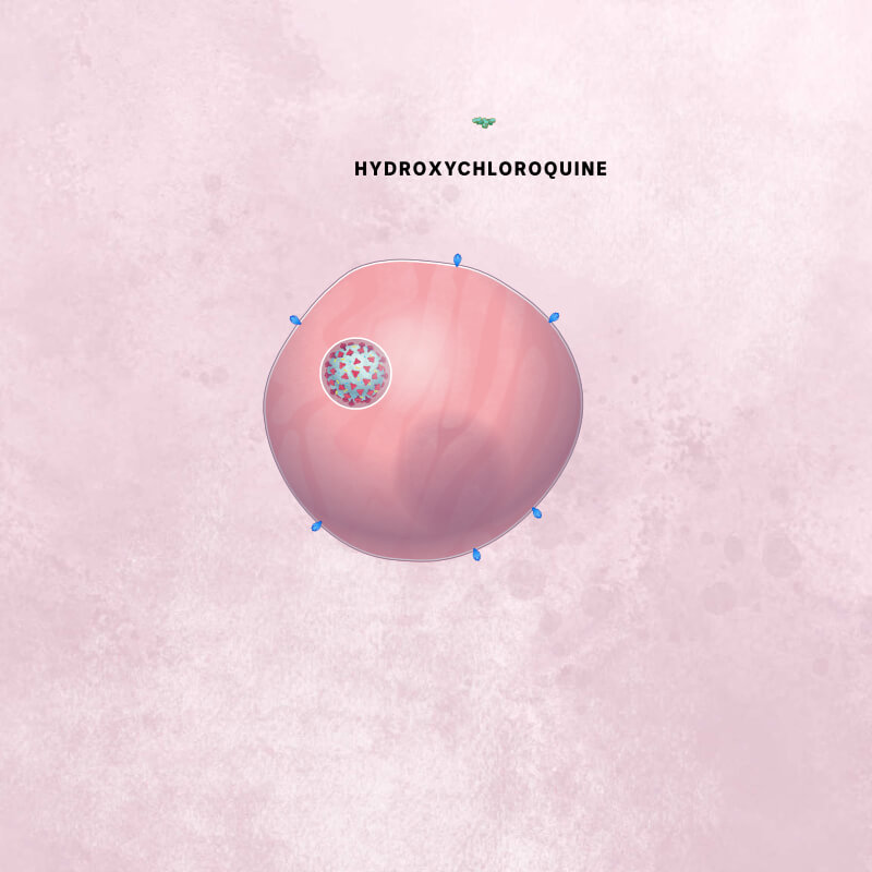 A small green hydroxychloroquine molecule approaches a cell infected with a coronavirus particle.