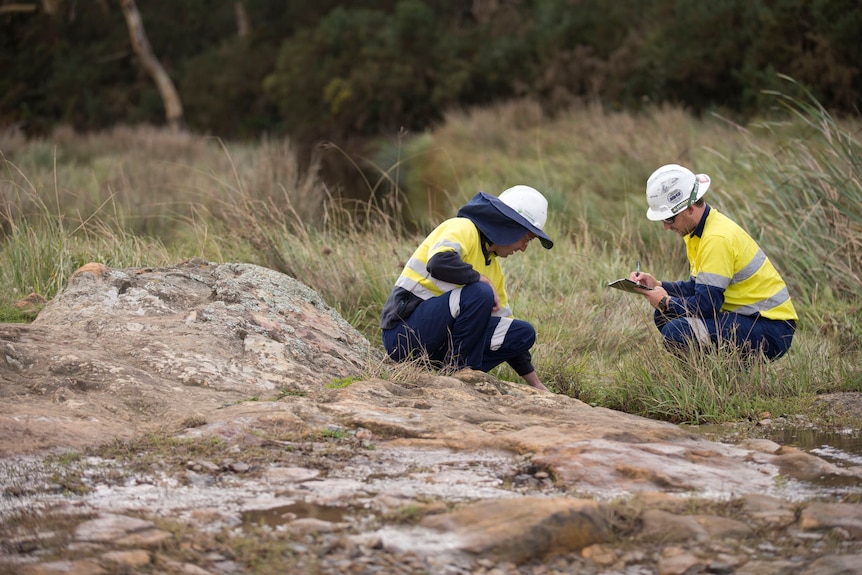 Hume Coal workers