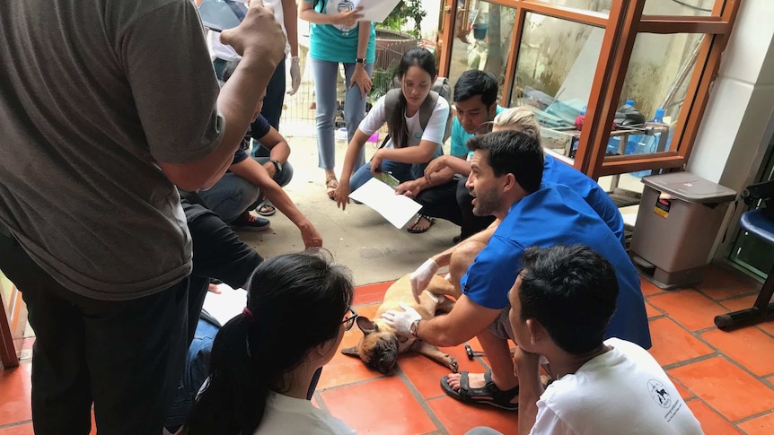 Vets Beyond Borders vets training locals in Cambodia