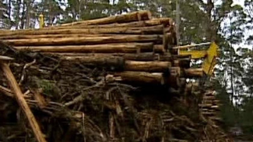 Kalangadoo timber mill sold to local logging company