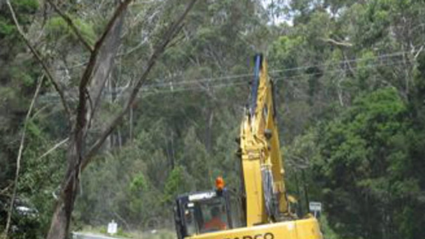 The Tasman Highway outside St Helens is now passable despite the tarmac washing to the side.