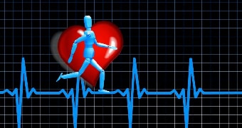 Exercises to increase heart online rate without using legs