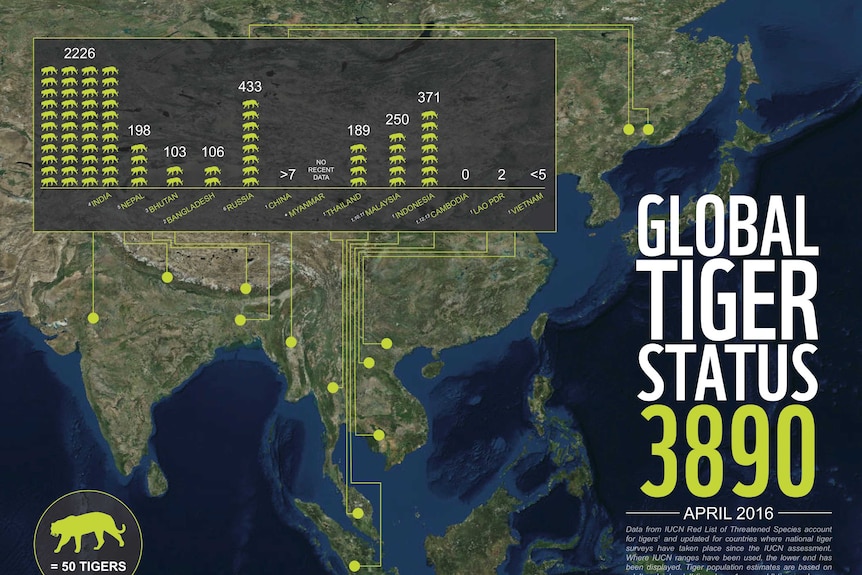 An infographic showing the number of wild tigers living in 13 different countries across Asia.