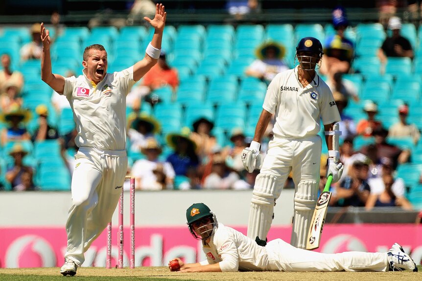 Peter Siddle appeals but Rahul Dravid not out.