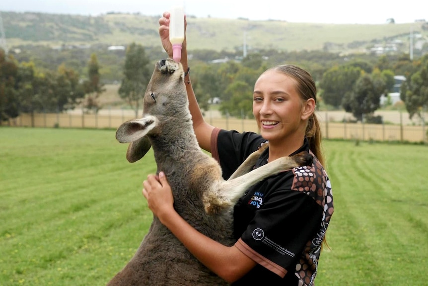 A school girl feeds a kangaroo with a bottle of milk while giving it a cuddle