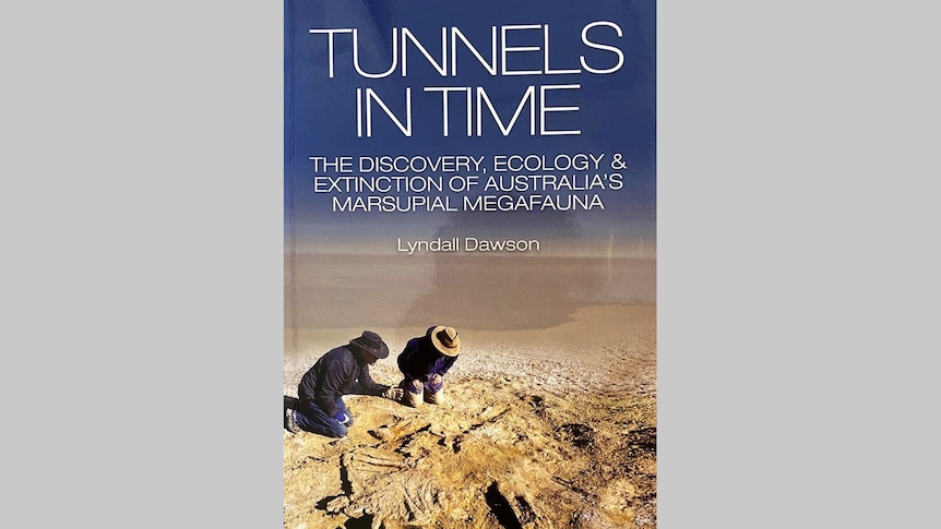 Book cover - Tunnels in Time