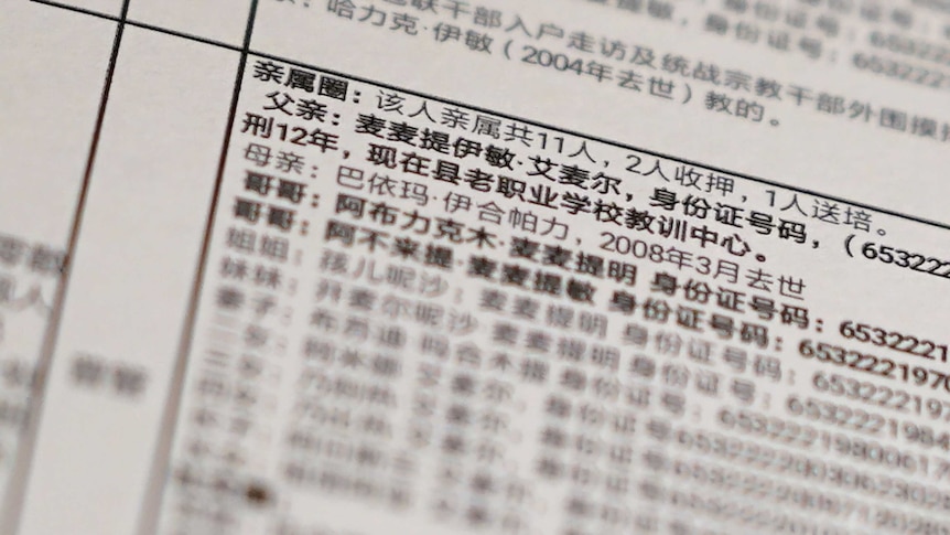 A close up of a Chinese document from a leaked database.