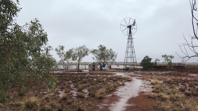 a wet ground with a windmill.