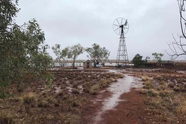 Wet ground with a windmill.