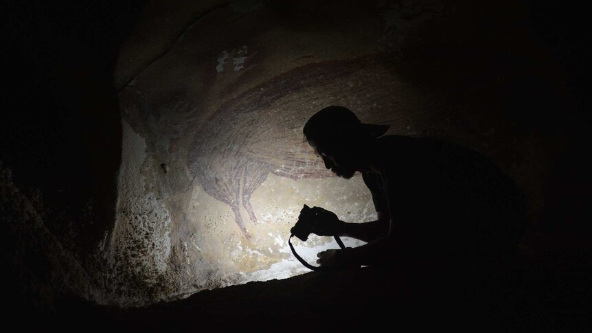 A painting of a pig on a cave wall with a person's silhouette in the foreground