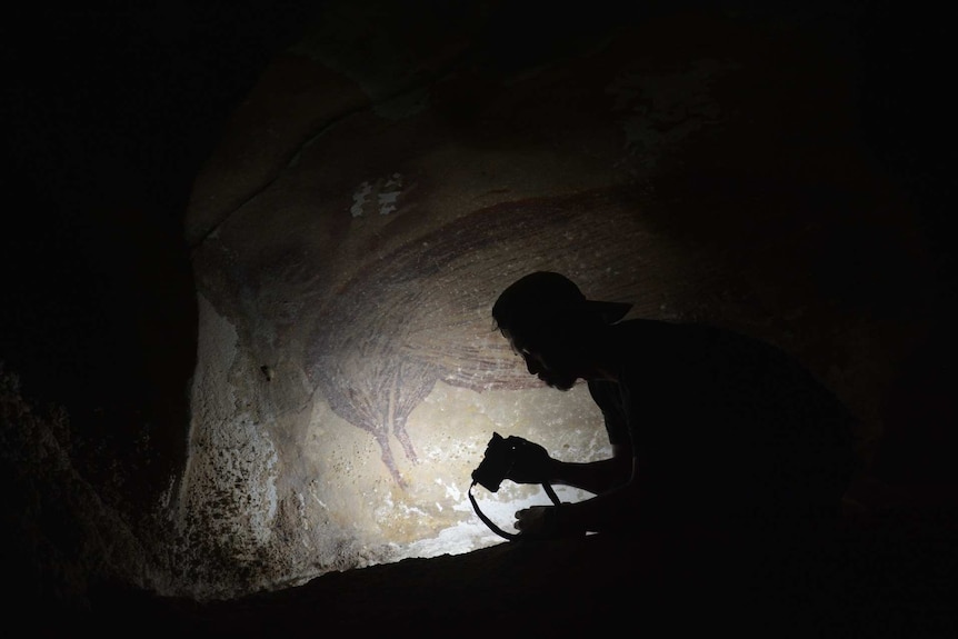 A painting of a pig on a cave wall with a person's silhouette in the foreground