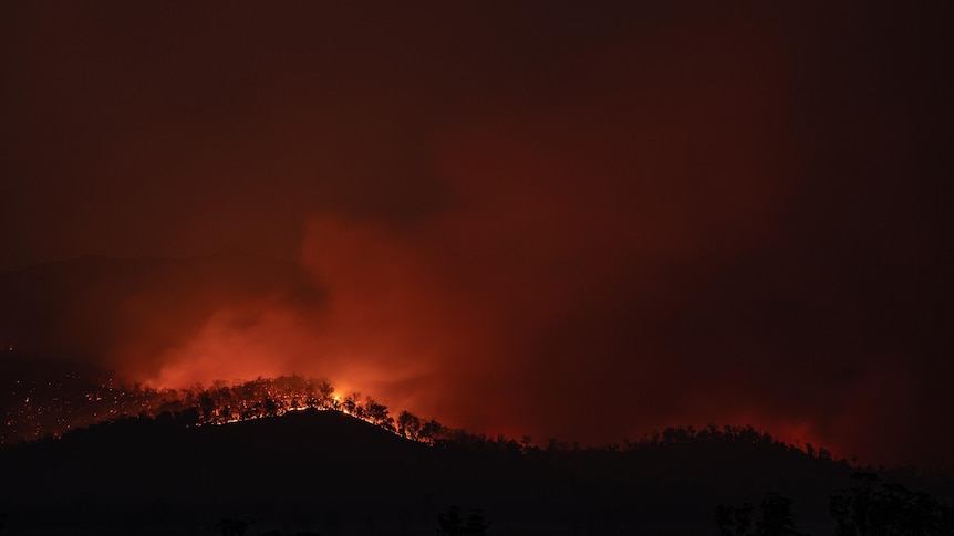 Bushfire begins to crest a hill in Tasmania, Australia.