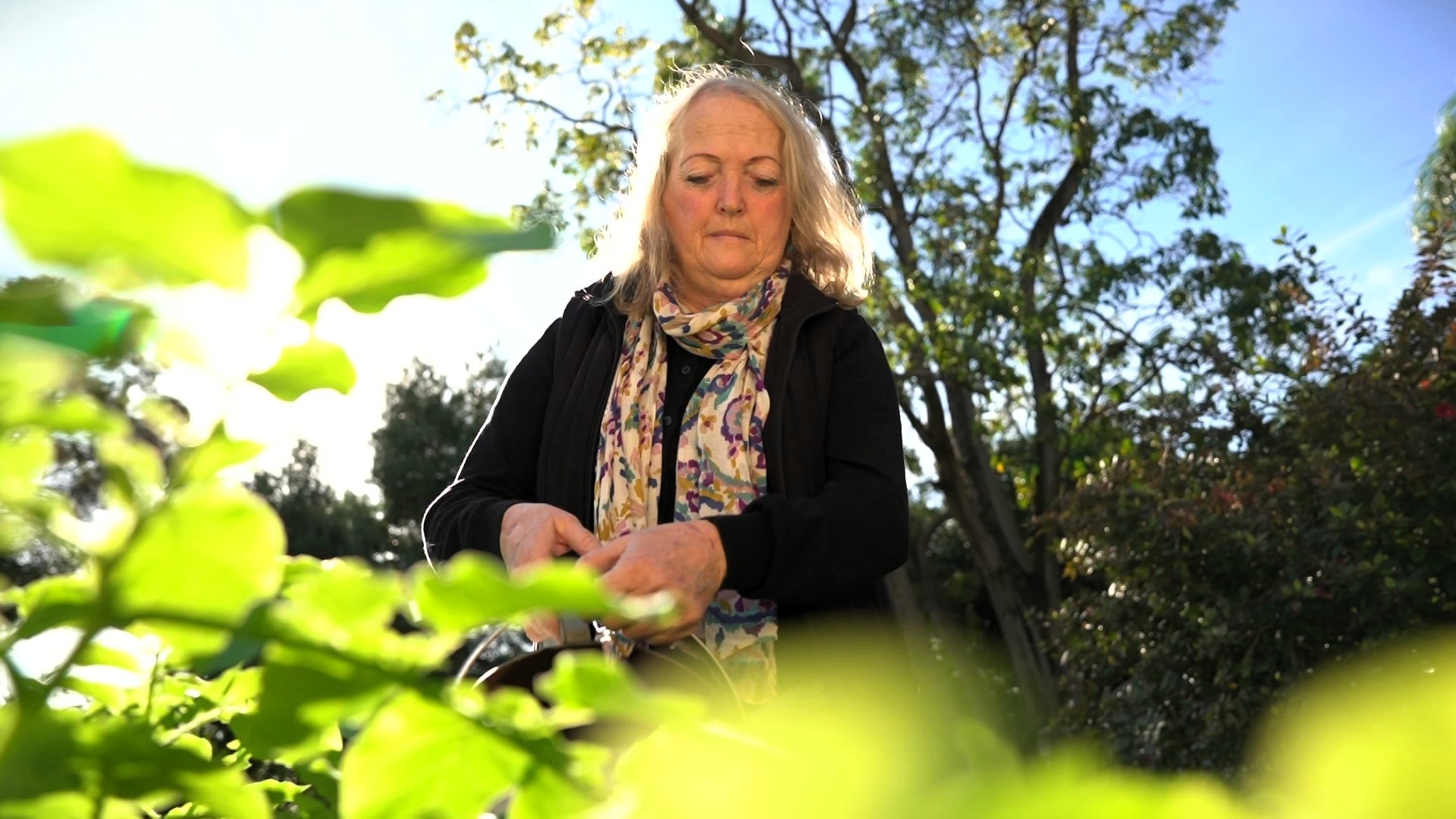 Katherine Leane leans over green plants in her garden as she waters them beneath a blue sky