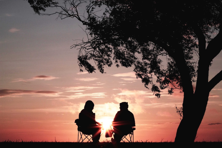 Two people sitting on chairs look at the sunset under a tree.