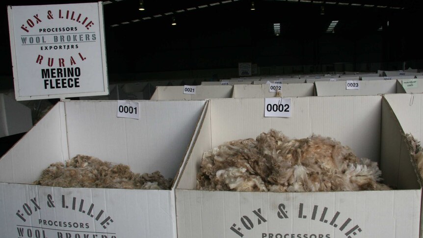 wool samples in boxes