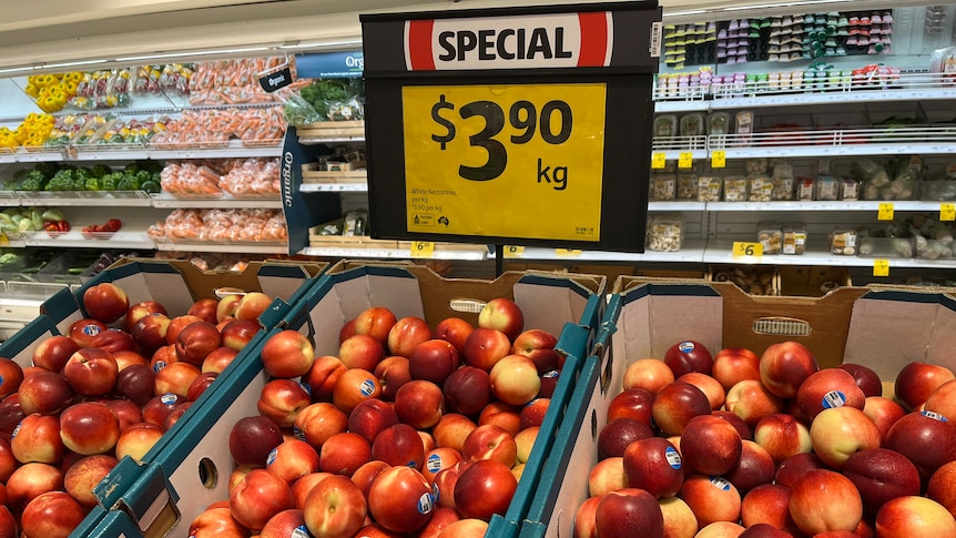 Nectarines on display in a Coles grocery section. The price displayed is $3.90 per kilogram.