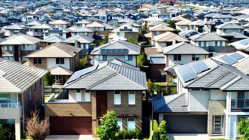 Rows of newly built houses in a suburb.