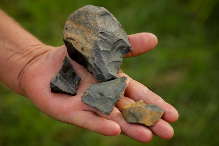 Four pieces of a broken stone tool in the palm of a man's hand.