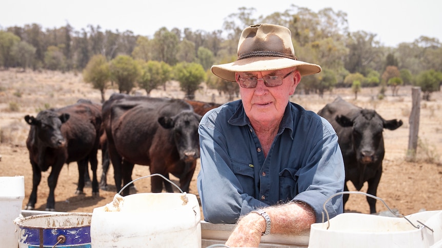 Mick Cosgrove leans on the tray of his ute while cattle feed behind him on the property near Bell on Queensland's western downs.