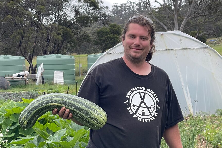 man in garden holding zuchinni