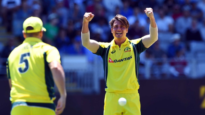 Marcus Stoinis celebrates a wicket against New Zealand