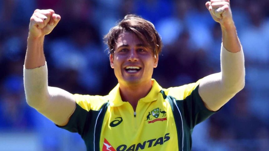 Marcus Stoinis celebrates a wicket against New Zealand