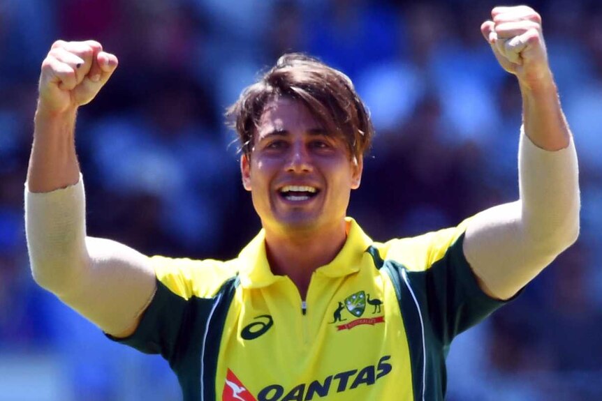 Marcus Stoinis celebrates a wicket against New Zealand