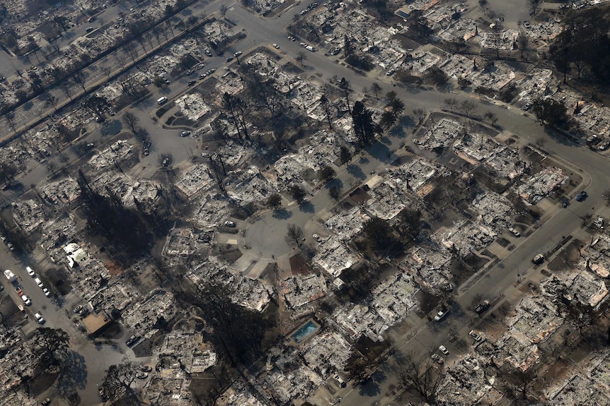 Aerial shot of dozens of ruined homes in Santa Rosa.